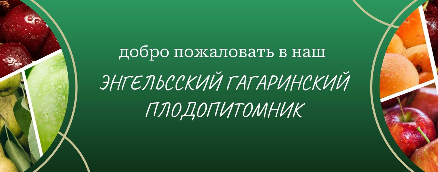 Саженцы64 | все для вашего сада