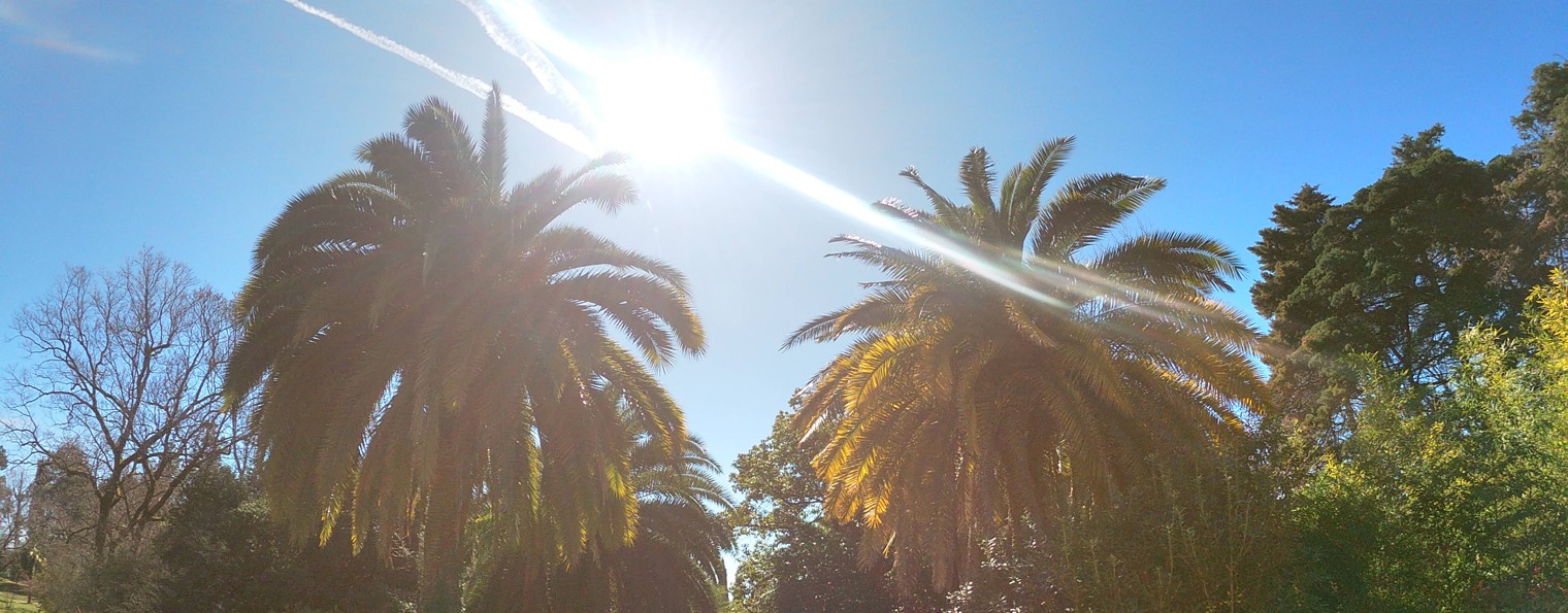 Лилия Наумова