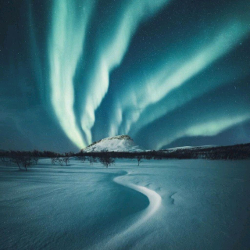 Товарищ Козлодоев