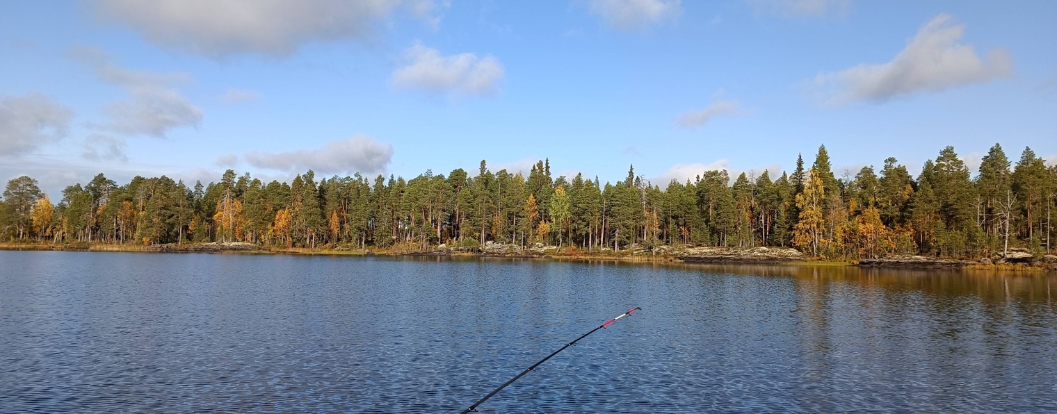 ПЧЕЛОВОД-РЫБАК