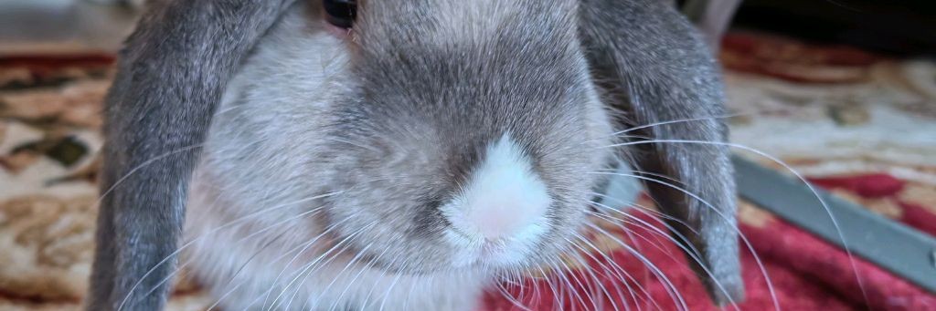 Поболтаем  с МАРИЕЙ