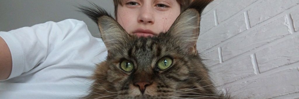 Миша И Жасмин