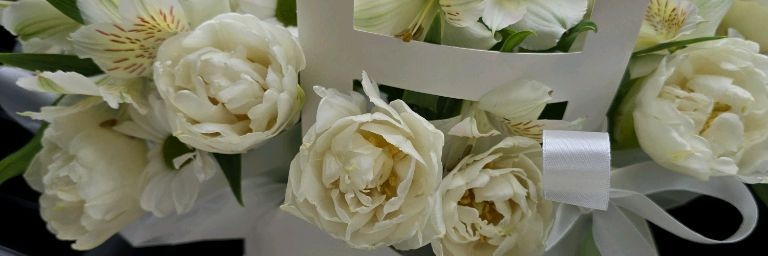 Екатерина Лифанова