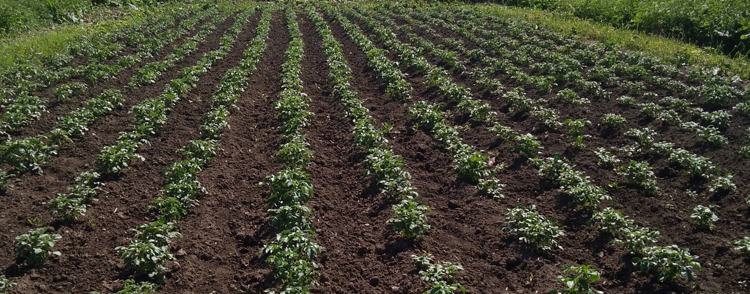 Бирюков Евгений    Самоделки