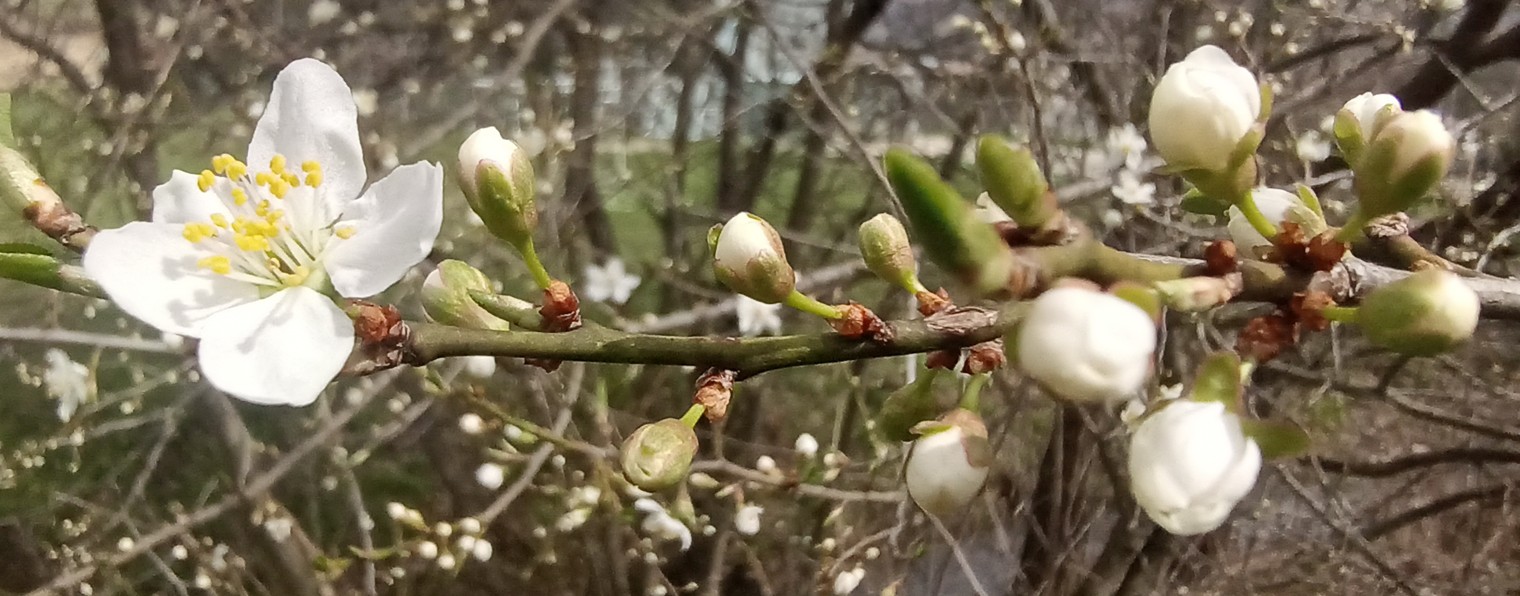 Секреты Здоровья от Андрея