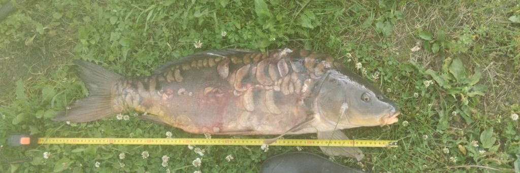 РЫБАЛКА С НИКОЛАЕМ