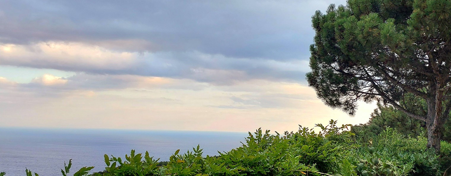 Валентина Рих.  Романсы, стихи.