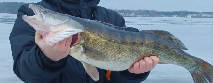 Вкусная рыбалка