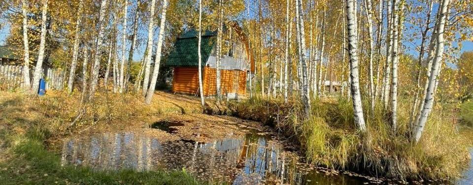 Хозяйство с нуля