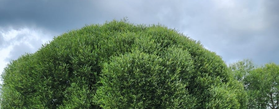 Жанна М.Жизнь как она есть