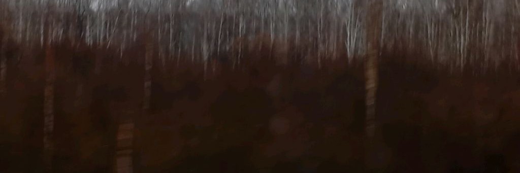 Волк 2.0