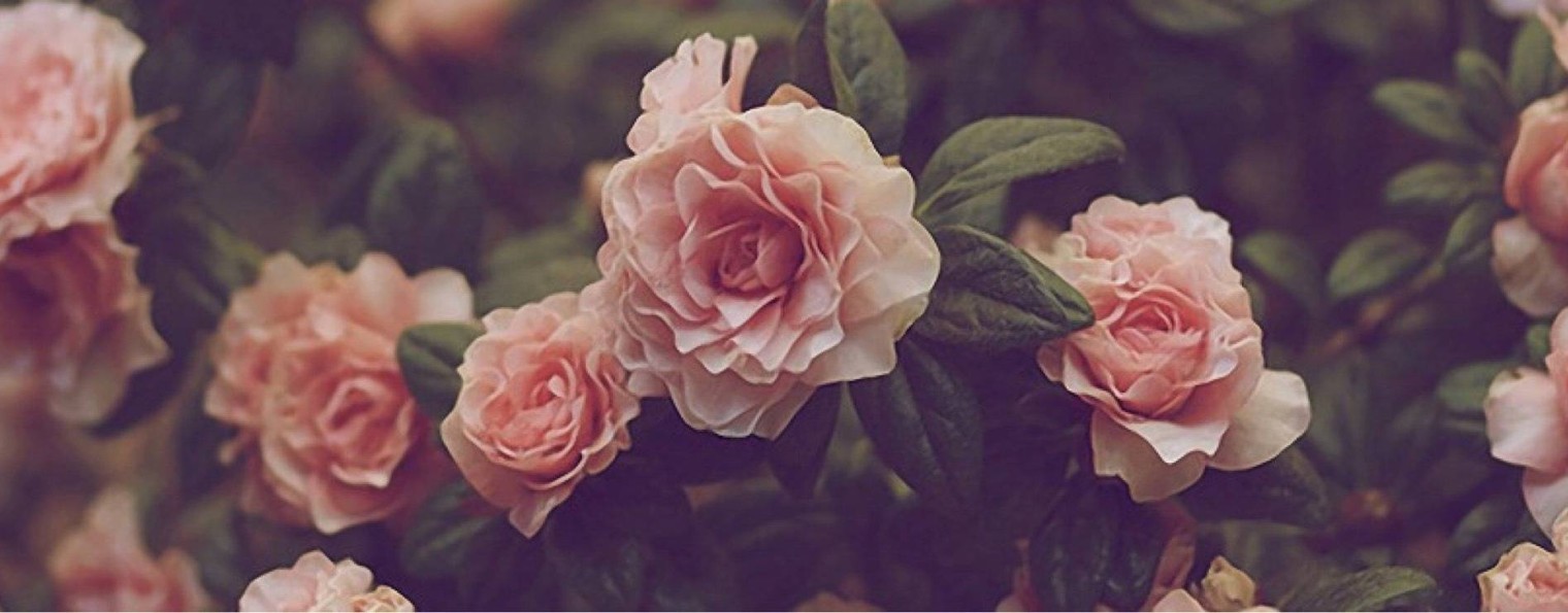 Каникулы Души