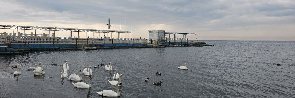 Москвичи в Анапе.