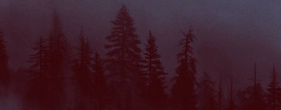 Хвойный Край