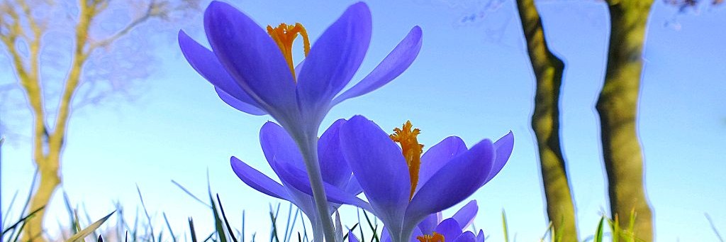 Простое Имя