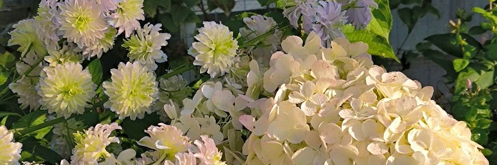 Светлана Уютный сад и не только.