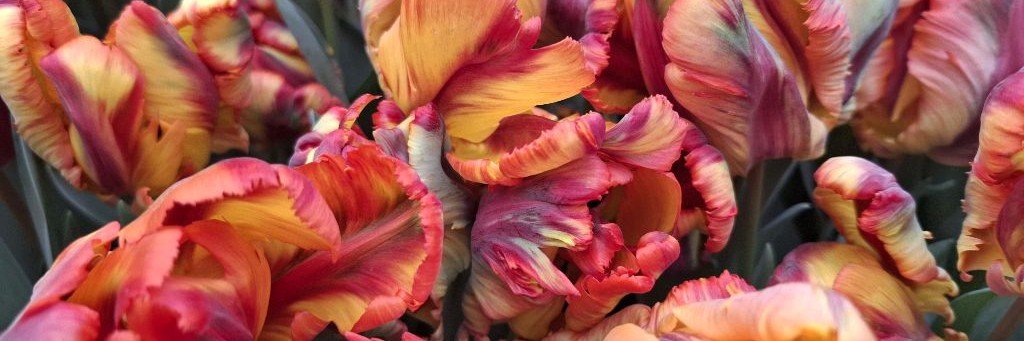 Наталья(П.Н.)