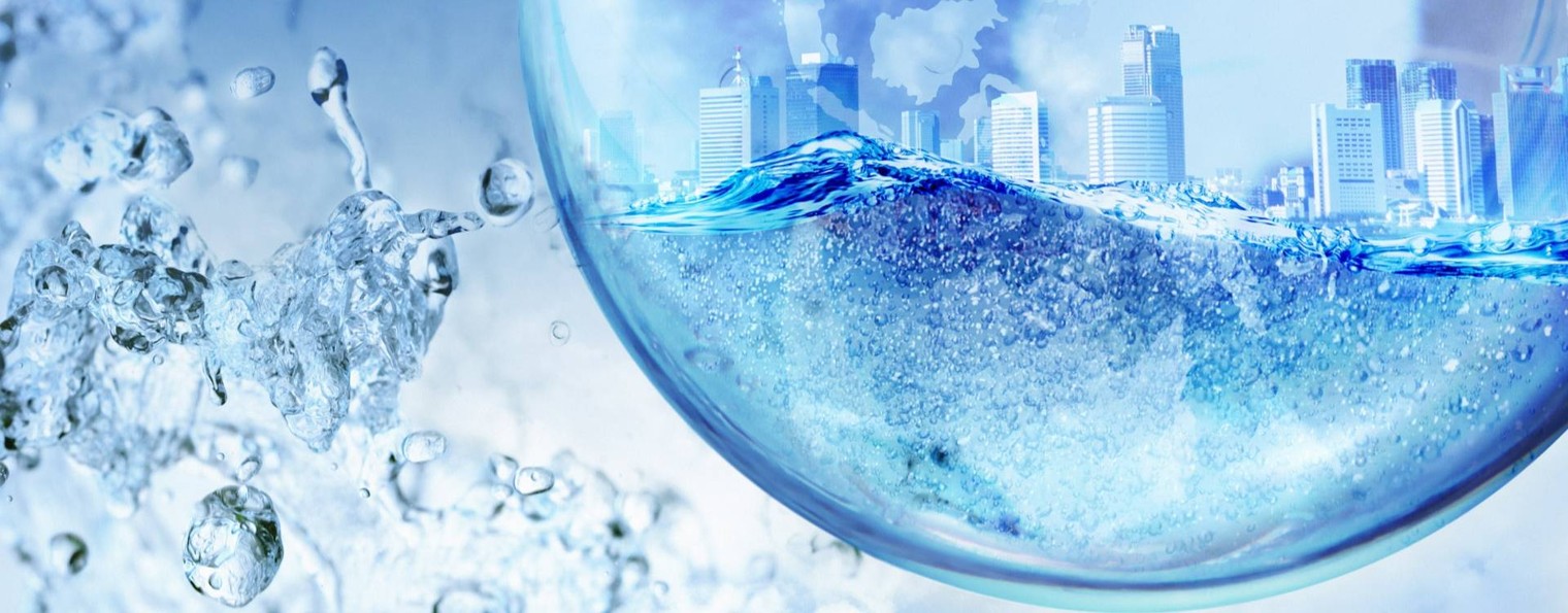 vaganova_ecologistclub