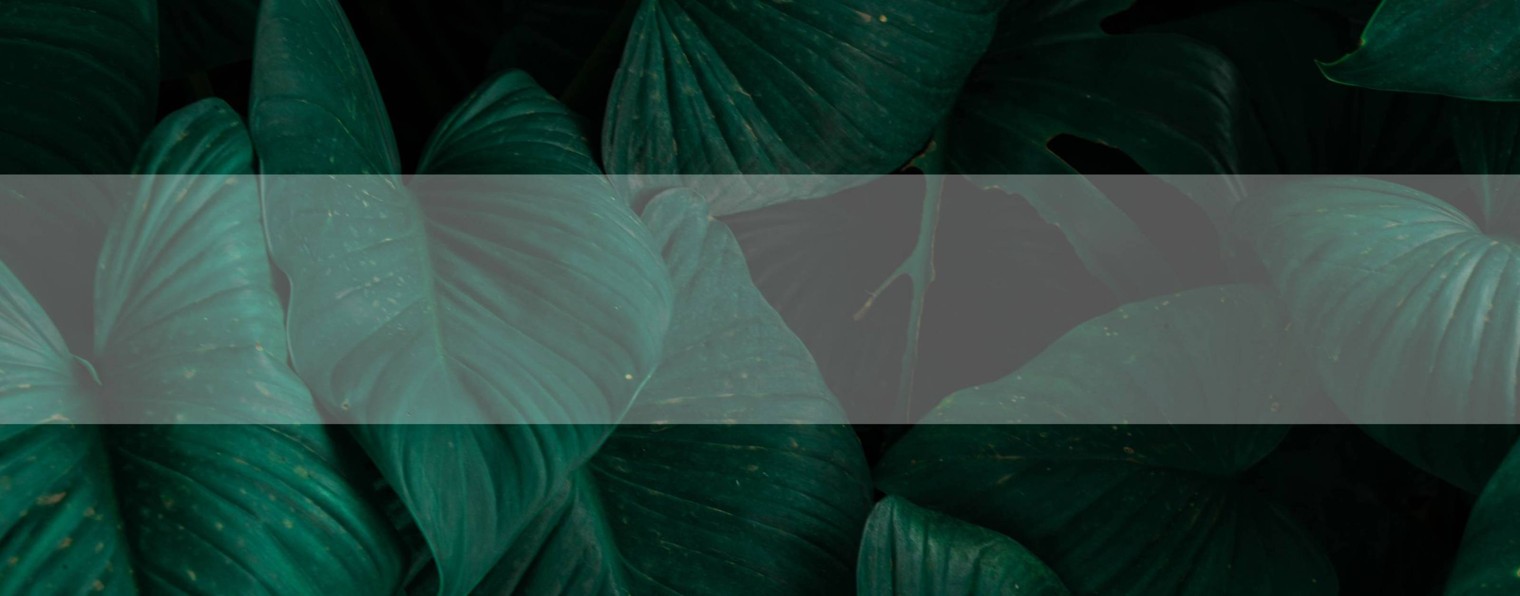 Дачные дела