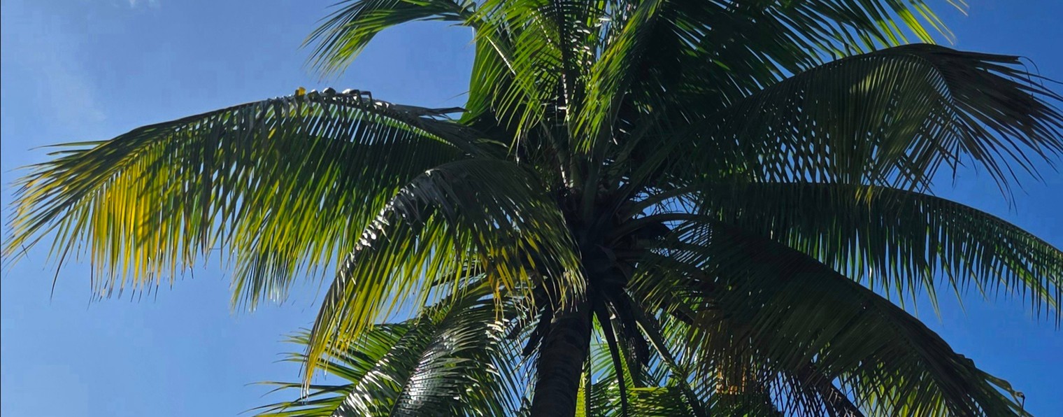 Колесим По Югу