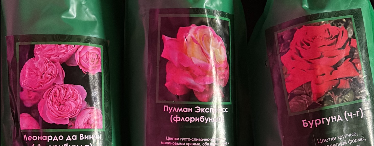 Семейный влог с Татьяной Федоровской