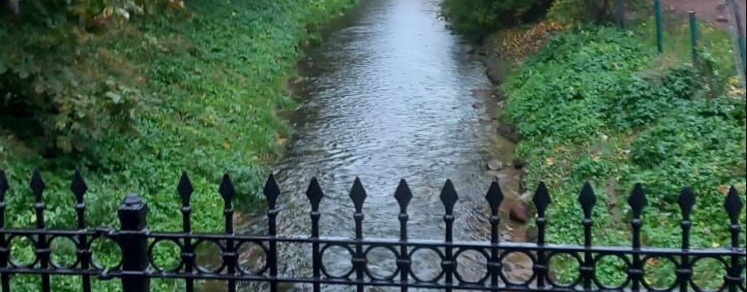 Частный сектор