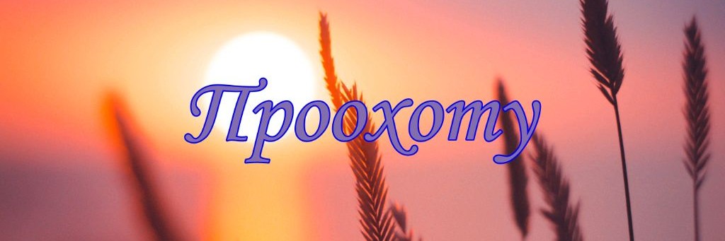 Проохоту!  Алексей Чиркин