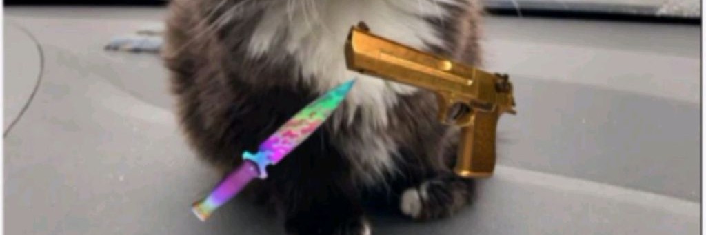 Кошак Мишель Rutube