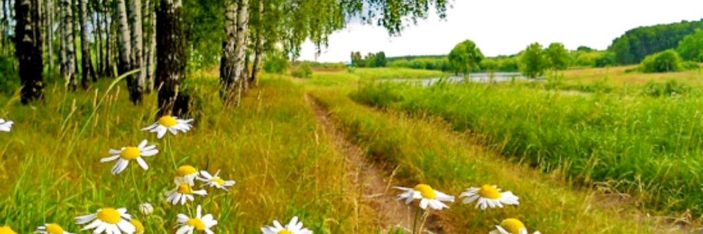 Путь к мечте