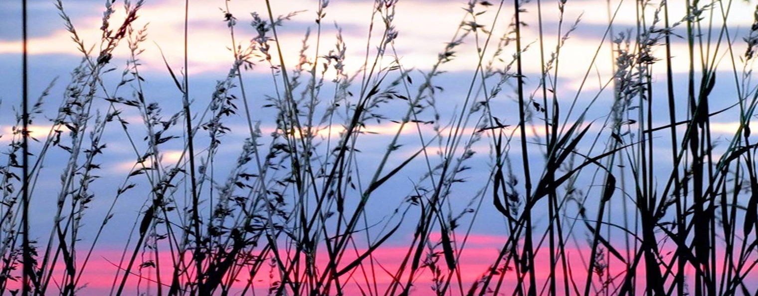 Михаил Успенский