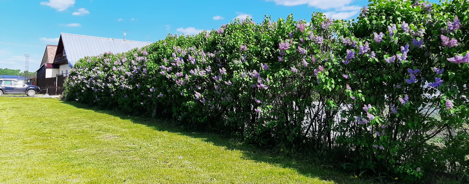 Наталья Мусина. Жизнь на пенсии.