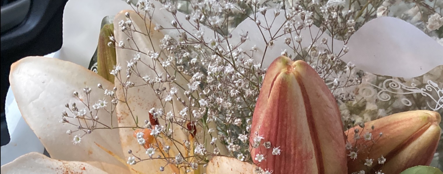 Милка и ее финансы