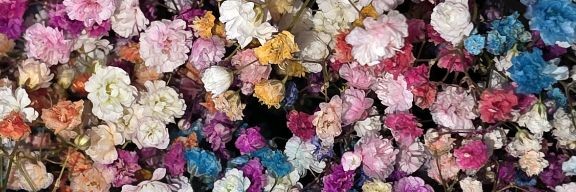 Петрова Ольга