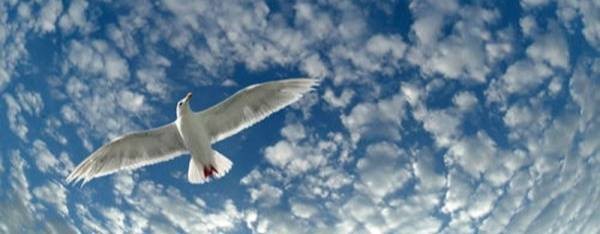 Радость в каждом мгновении