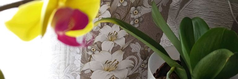 Деревенька моя -  Наталия