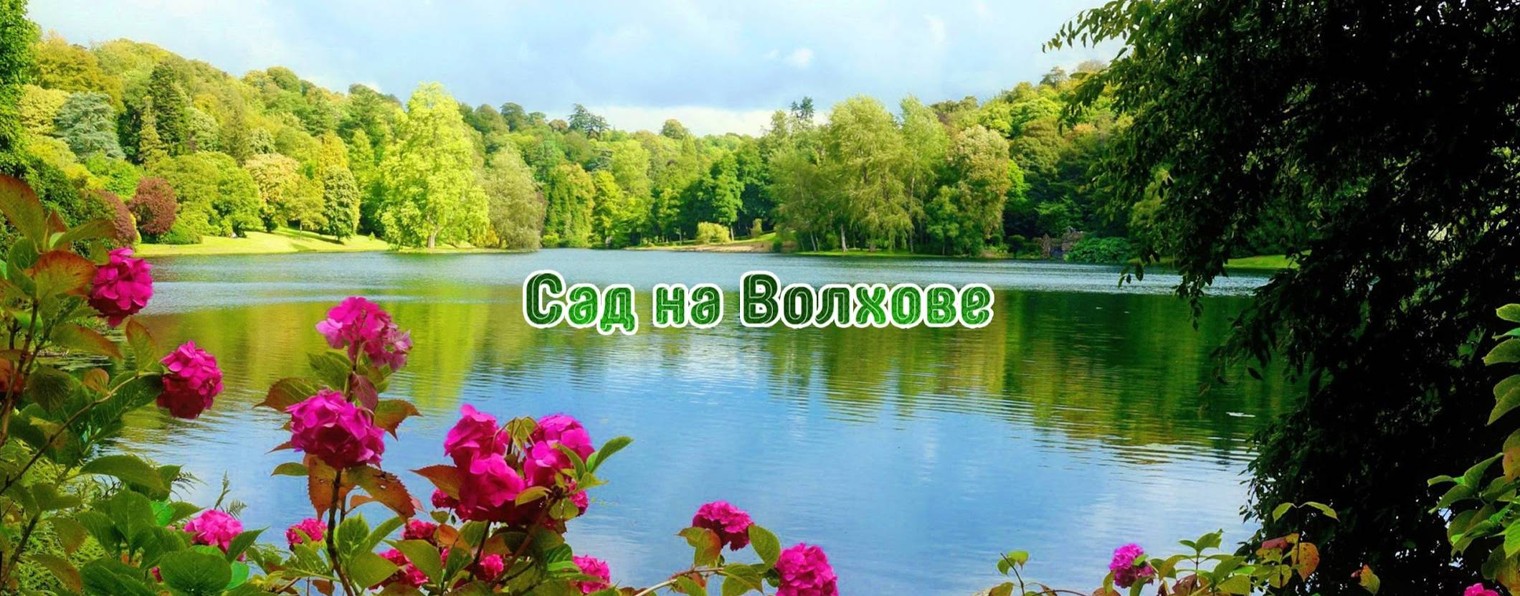 Сад на Волхове