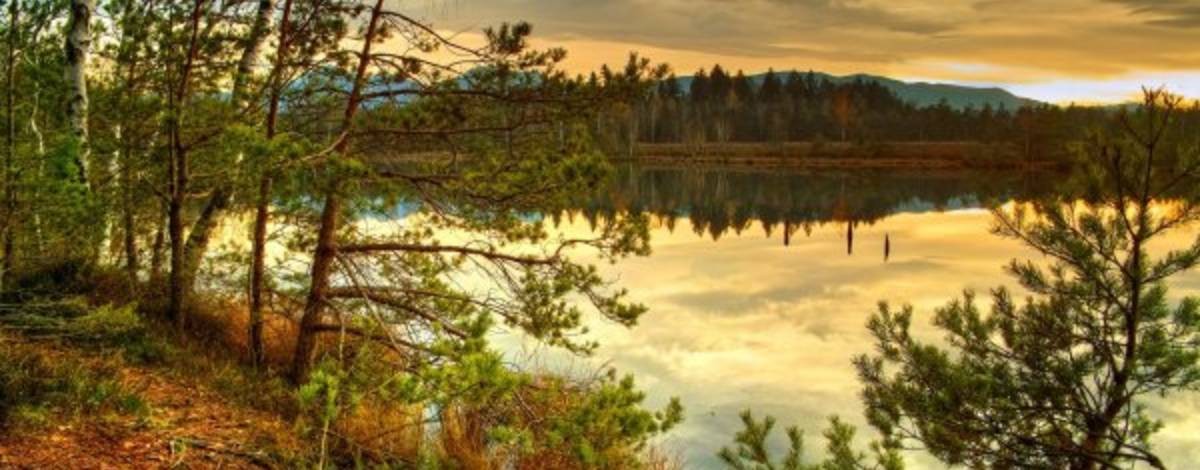 Деревенский Лайв 🏋️♂️