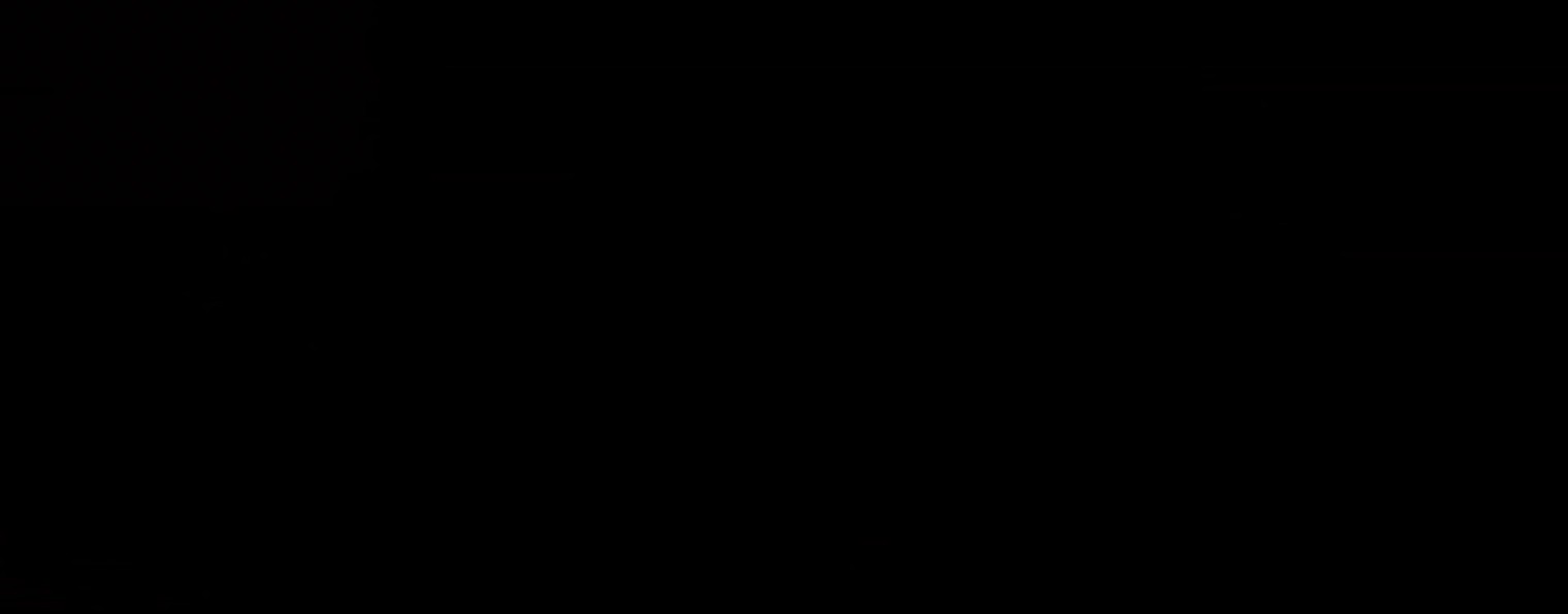 Братья Ставер