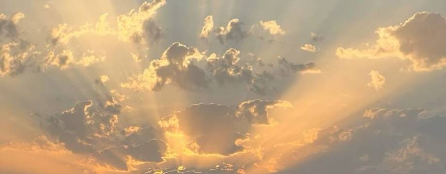 Мысли вслух