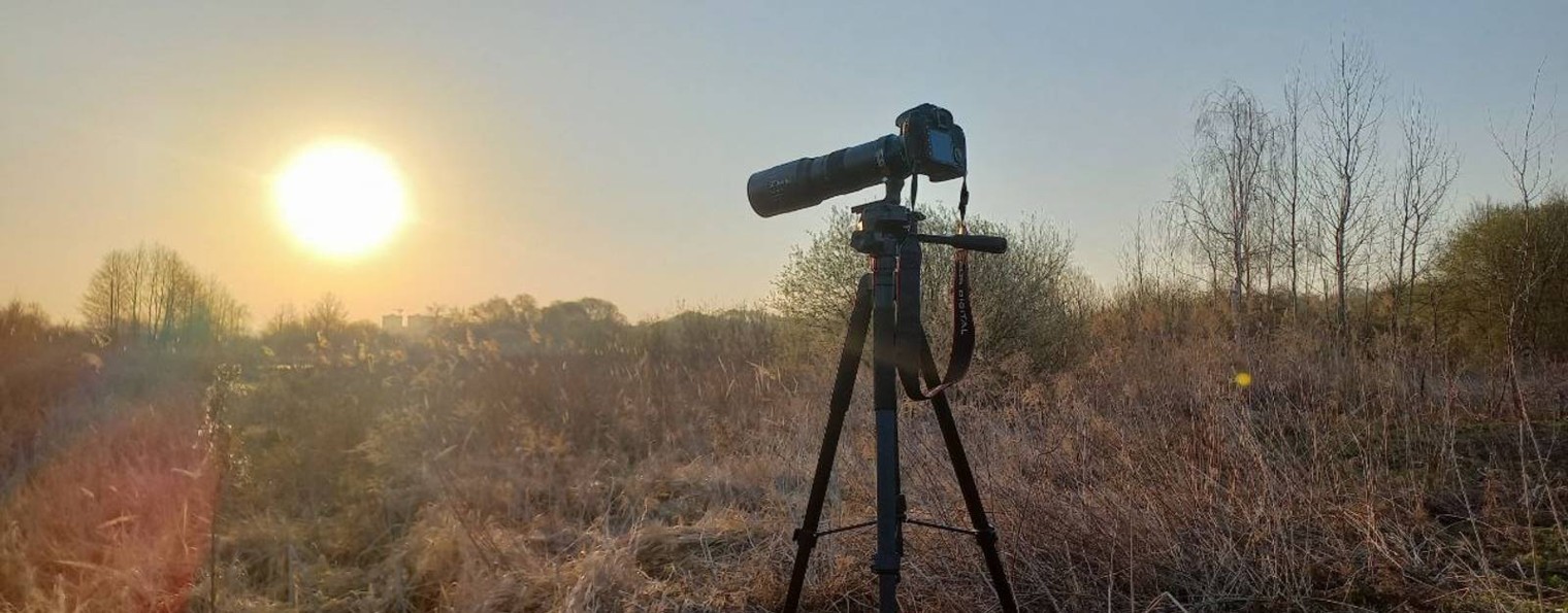 Фотоохота и еще... (shutter_lagg)