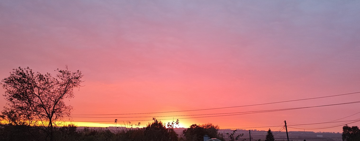 Александр Кухарский