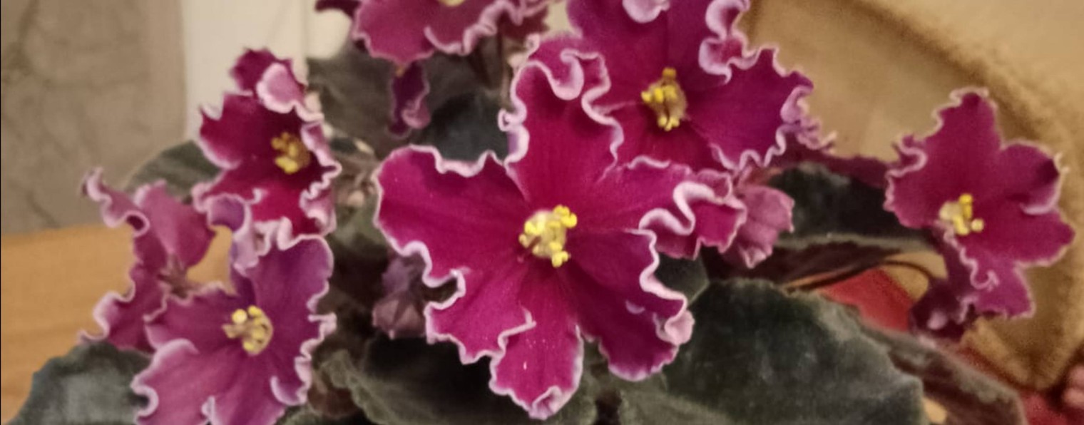 Рукоделие и жизнь с Надеждой)