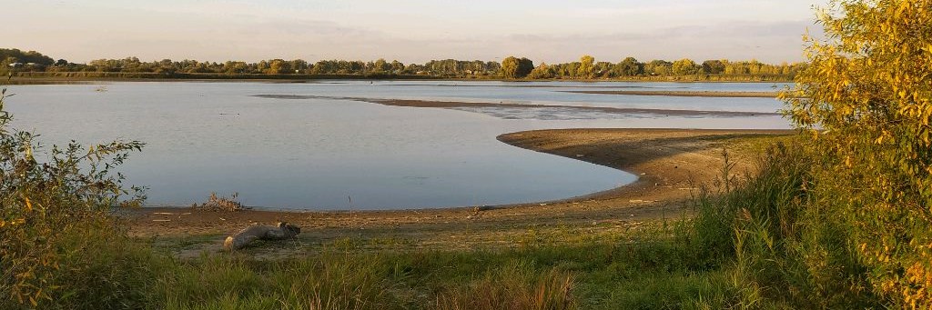 ГуманГурман