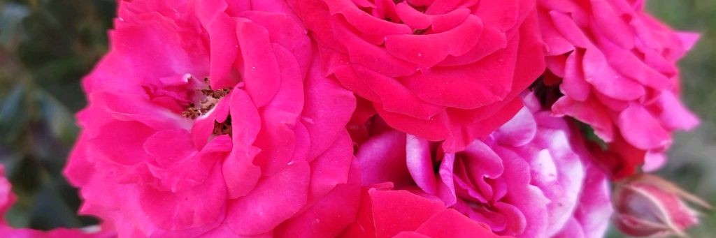 Анна Цигун Зарядка