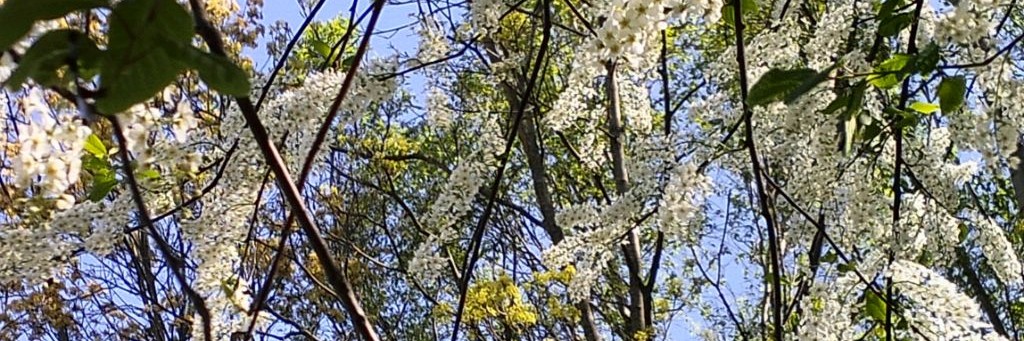 Природа в Москве