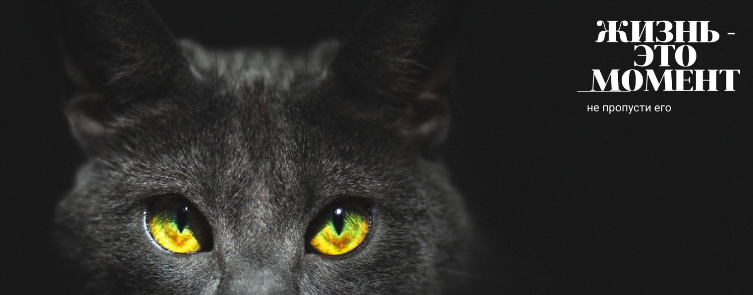 🌗  Светлая сторона