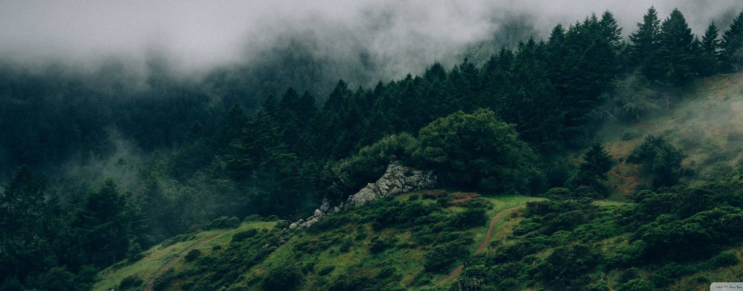 Истории для сердца