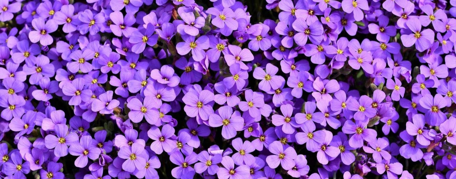 ПсихологАннаПархоменко