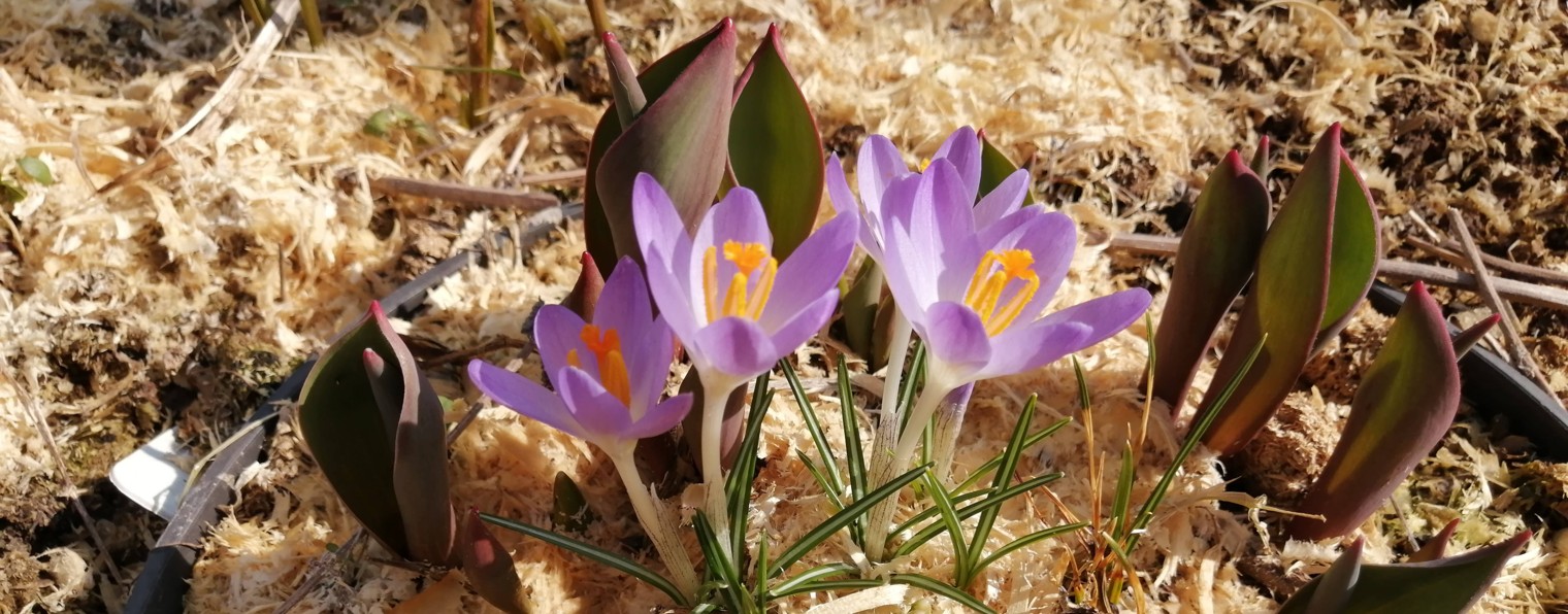 Будни НАТАХИ полезняхи