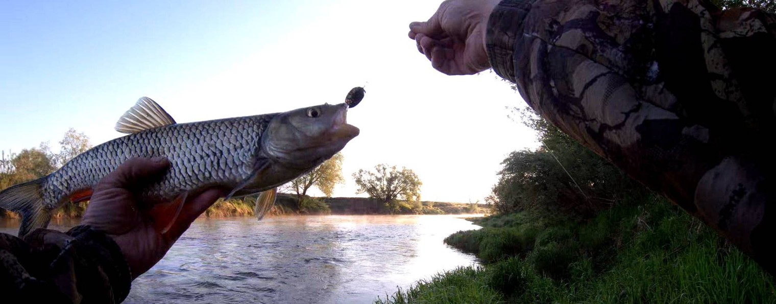 Рыбалка на спиннинг.